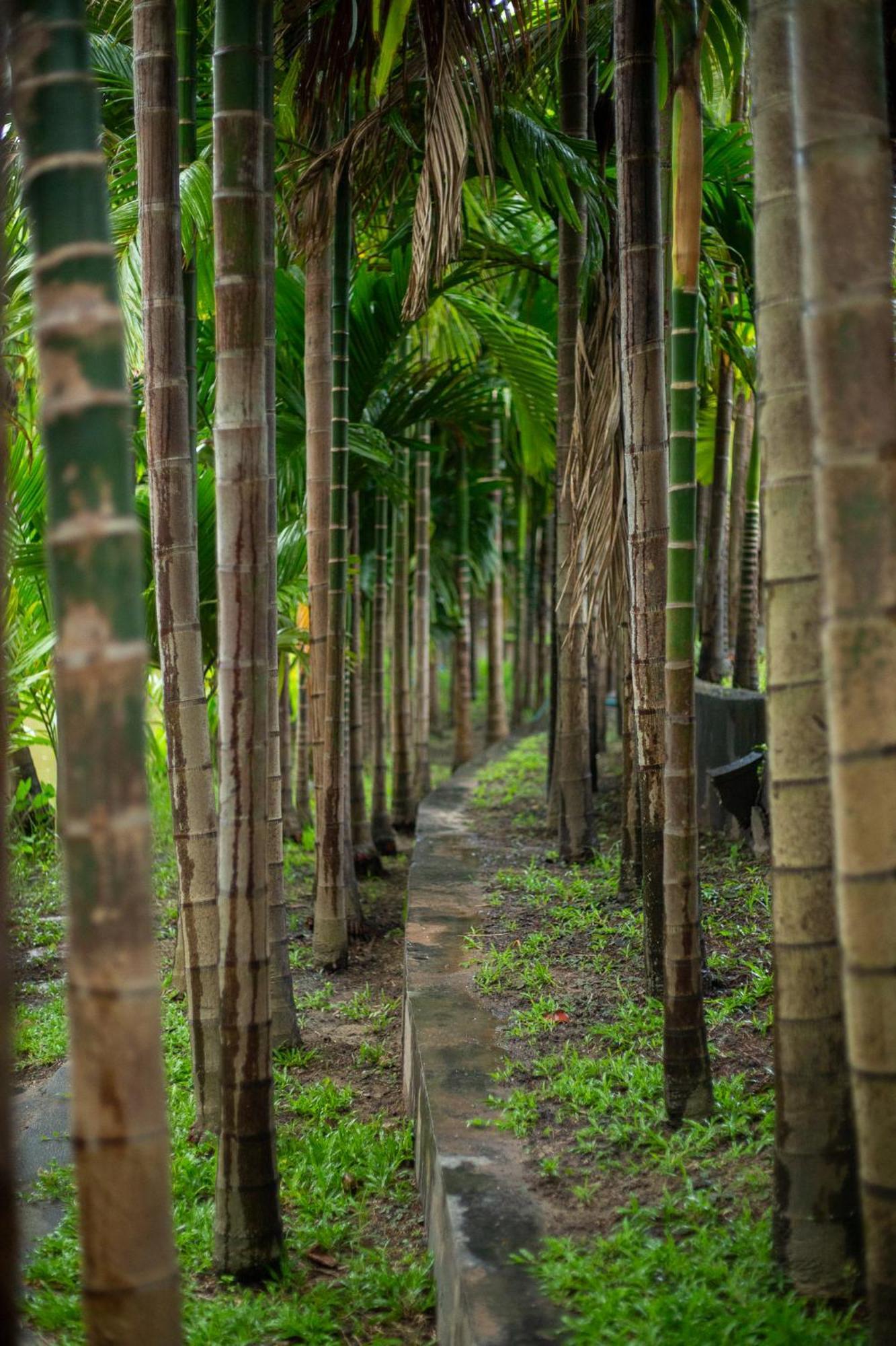 Phanumas Resort Chiang Mai Exterior photo