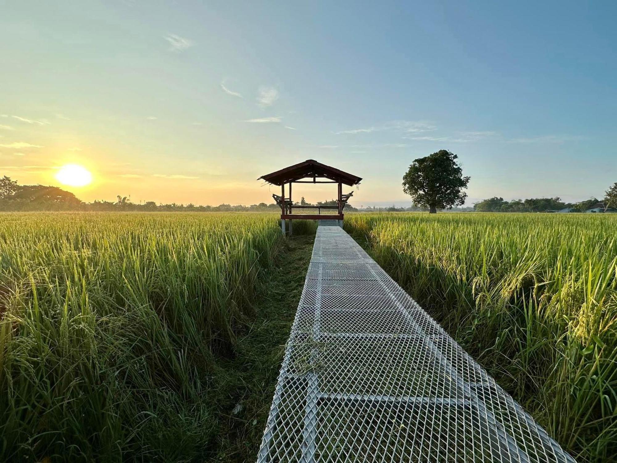 Phanumas Resort Chiang Mai Exterior photo
