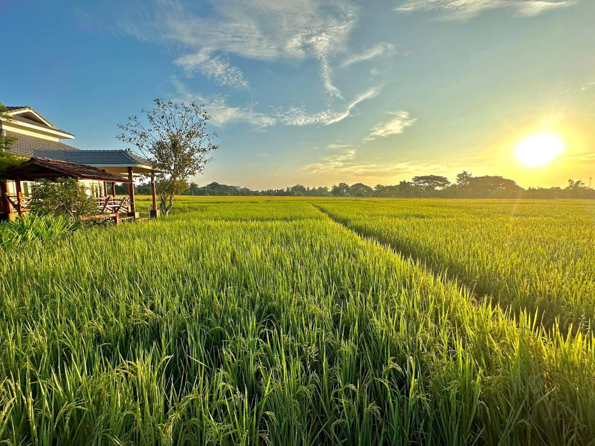 Phanumas Resort Chiang Mai Exterior photo